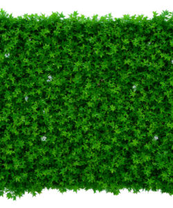Aerial-view-of-a-lush-vibrant-green-hedge-densely-packed-with-uniform-foliage-set-against-a-stark-white-background