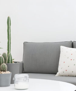 Photograph-of-a-minimalist-living-room-with-grey-couch-potted-cacti-and-decorative-pillows-on-a-white-wall