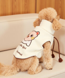 A beige poodle in a white little girl sweater sits on a cream leather couch against a wooden background 1