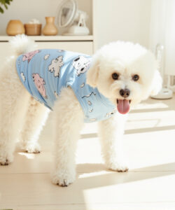 A cute fluffy white dog in a blue onesie with cloud and poodle prints in a bright sunlit room