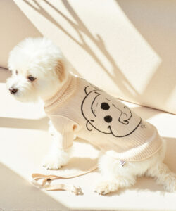 A cute white fluffy dog wearing a beige sweater with a cartoon character design sitting on a beige couch 1