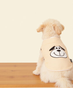A fluffy light beige puppy with a cute dog themed vest sits on a wooden surface against a plain beige background