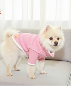 A fluffy white pomeranian puppy in a pink sweater stands on a grey couch with a plant in the background 1
