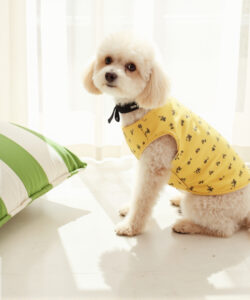 A fluffy white dog in a yellow shirt sits on a white floor beside green and white striped pillows 1