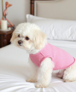 A fluffy white puppy in a pink sleeveless sweater sits on a bed with white linens and a wooden headboard