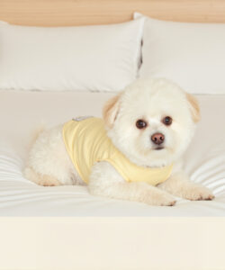 A fluffy white puppy in a yellow shirt lies on a neatly made bed with white pillows and sheets 1