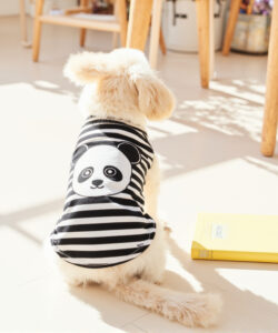 A photograph of a fluffy beige dog in a black and white panda striped sweater sitting on a sunlit wooden floor 1