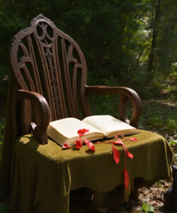 A-wooden-chair-with-a-book-and-red-leaves-on-a-green-cloth-in-a-sunlit-forest
