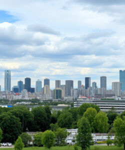 Photograph-of-a-city-skyline-under-a-cloudy-sky-featuring-lush-greenery-in-the-foreground-and-modern-skyscrapers-in-the-background