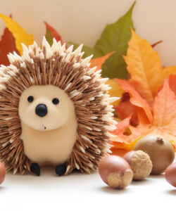 Photograph-of-a-cute-plush-hedgehog-with-brown-spikes-surrounded-by-autumn-leaves-and-acorns-on-a-white-surface