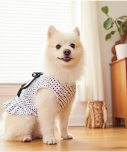Photograph of a fluffy white pomeranian dog in a polka dot dress sitting on a wooden floor in a sunlit room