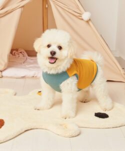 Photograph of a fluffy white dog in a yellow green sweater standing on a plush animal rug beside a beige tent
