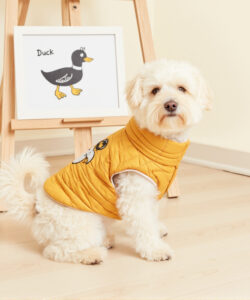 Photograph of a fluffy white dog in a yellow quilted vest standing on light wood floor with duck art behind