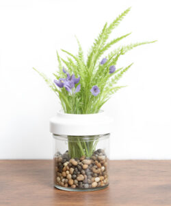 Photograph-of-a-glass-jar-containing-soil-and-small-plants-with-purple-flowers-on-a-wooden-surface