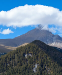Photograph-of-a-majestic-snow-capped-mountain-under-a-vibrant-blue-sky-with-scattered-clouds-surrounded-by-lush-green-pine-trees