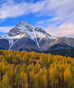 Photograph-of-a-mountainous-landscape-with-vibrant-autumn-trees-snow-capped-peaks-and-a-partly-cloudy-blue-sky