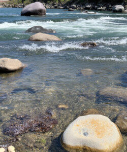 Photograph-of-a-rocky-riverbed-with-clear-water-sunlight-reflecting-off-stones-and-greenery-on-the-distant-bank
