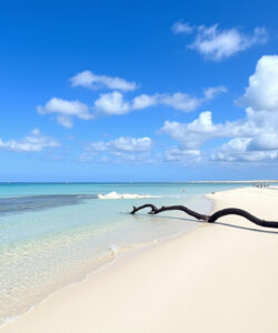 Photograph-of-a-serene-beach-with-clear-turquoise-water-white-sand-and-a-driftwood-log-under-a-bright-blue-sky