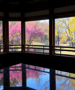 Photograph-of-a-serene-empty-room-with-large-windows-reflecting-vibrant-autumn-trees-in-pink-yellow-and-green