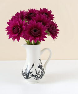 Photograph-of-a-white-ceramic-pitcher-with-black-floral-patterns-holding-vibrant-magenta-flowers-set-against-a-plain-beige-background