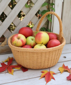 Photograph-of-a-wicker-basket-with-red-and-yellow-apples-autumn-leaves-on-a-white-porch-with-lattice-background