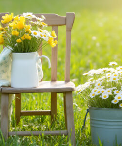 Photograph-of-a-wooden-chair-with-a-white-pitcher-of-yellow-daisies-a-blue-bucket-of-white-daisies-and-black-shoes