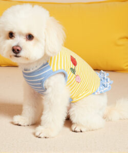 Photograph of an adorable white fluffy puppy wearing a yellow and blue striped onesie with a pink flower applique