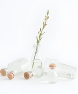 Photograph-of-clear-glass-bottles-with-cork-stoppers-one-containing-a-slender-green-stem-with-small-pale-flowers