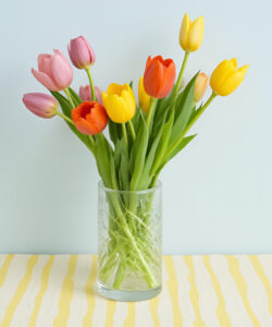 Photograph-of-colorful-tulips-in-a-glass-vase-on-a-striped-table-with-eyeglasses-beside-it-against-a-pale-blue-background
