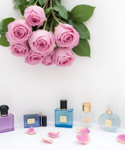 Photograph-of-pink-roses-and-perfume-bottles-on-white-background-with-scattered-rose-petals