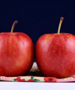 Two-red-apples-with-yellow-highlights-sit-on-a-floral-patterned-cloth-against-a-dark-blue-background-photographed-in-high-resolution