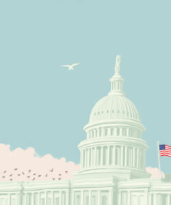 building-sky-flag-no_humans-day-clouds-bird-sfw-photoshop-medium-flagpole-usa-scenery-capital-dome-1girls-original-solo